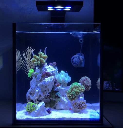 LED-light-for-nano-reef-tank